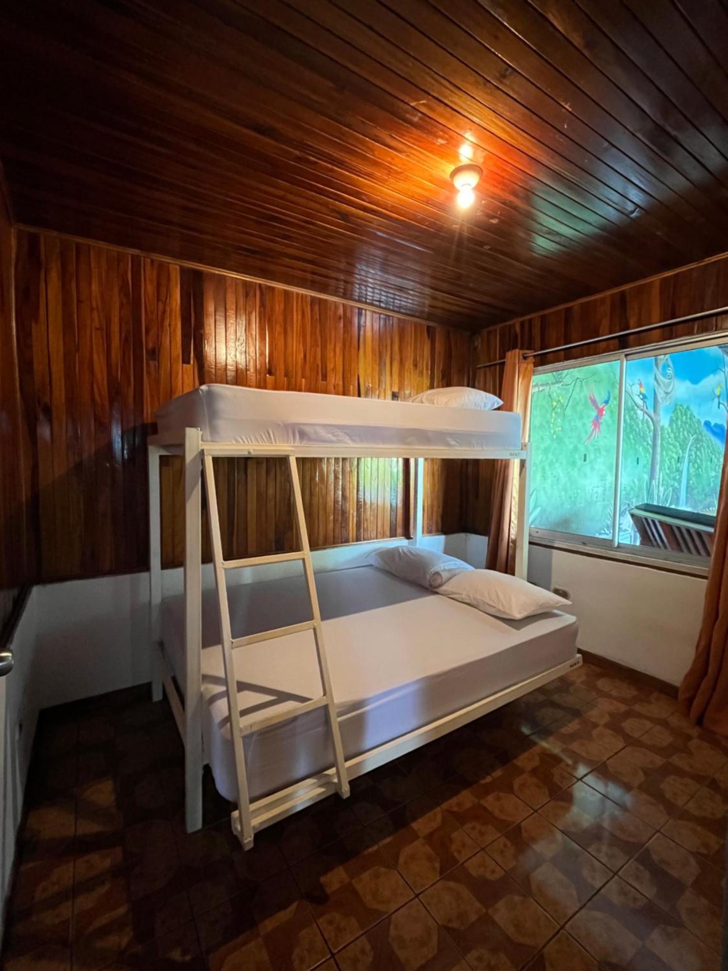 Hostel Arenal Sloth *